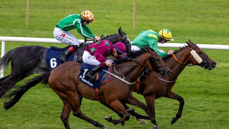 Rampage at Leopardstown 